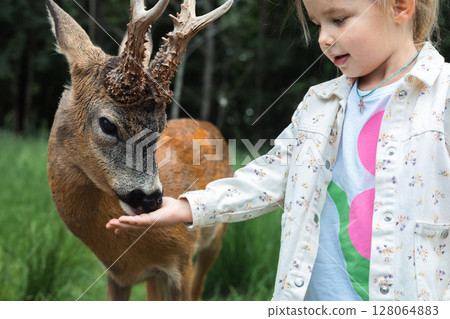 In a quiet forest, a young girl carefully offers food from her hand to a curious roe deer, creating a touching bond between man and animal. A child feeds a tame roe deer from her hand. 128064883