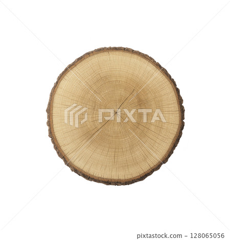 Cross section of tree trunk showing detailed growth rings, highlighting natural texture and age of wood. circular pattern is clear and distinct Cross section of tree trunk showing detailed growth rings, highlighting natural texture and age of wood. circular pattern is clear and distinct 128065056