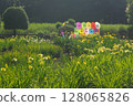Kitayama Park pond and iris flowers located in the Sayama Hills when the irises bloom 128065826