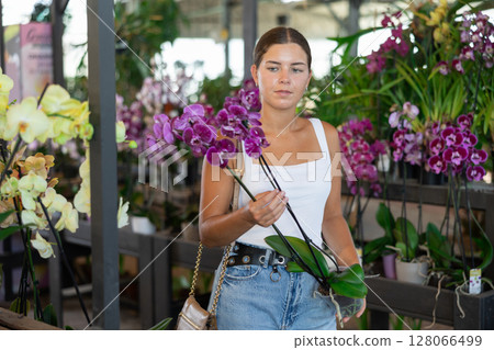 Happy smiling girl choosing orchids in floral shop Happy smiling girl choosing orchids in floral shop 128066499