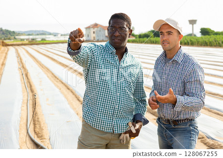 Men farmers talking on vegetable field 128067255