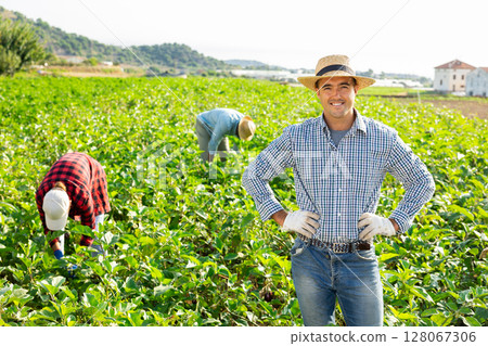 Portrait of man farmer on vegetable field 128067306