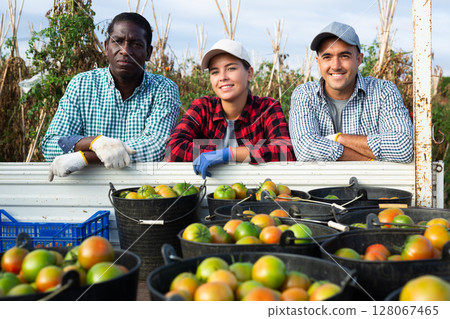 Portrait of positive men and woman gardeners at truck of tomatoes Portrait of positive men and woman gardeners at truck of tomatoes 128067465