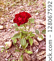 Elegance and passion combined 128067592