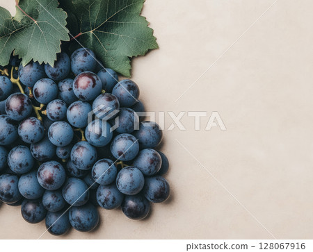 Bunch ripe blue grapes simple uniform background, grape, harvest. Concept purchase, sale, banner Bunch ripe blue grapes simple uniform background, grape, harvest. Concept purchase, sale, banner 128067916