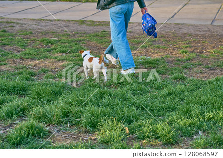 Go home.Woman with Jack Russell terrier returning from walk Go home.Woman with Jack Russell terrier returning from walk 128068597
