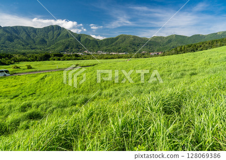<Kanagawa Prefecture> Fresh greenery in Sengokuhara and the green grasslands <Kanagawa Prefecture> Fresh greenery in Sengokuhara and the green grasslands 128069386