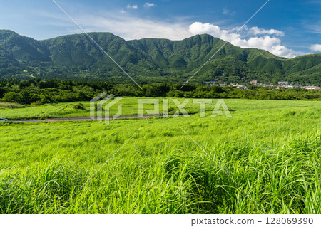 <神奈川縣>仙石原的新綠與翠綠的草原 128069390