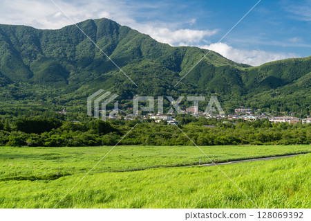 <神奈川縣>仙石原的新綠與翠綠的草原 128069392