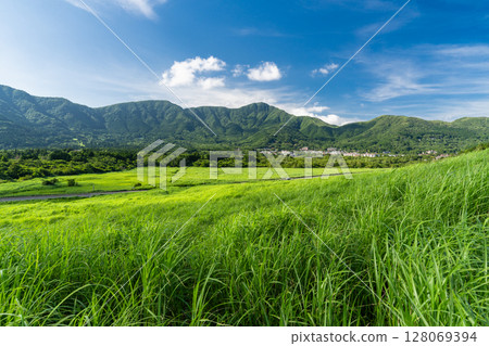 <神奈川縣>仙石原的新綠與翠綠的草原 128069394