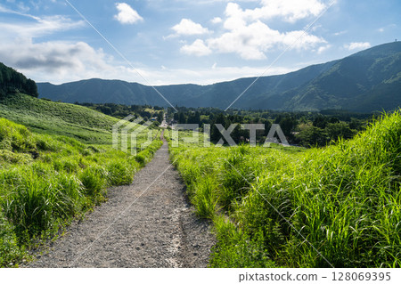 <神奈川縣>仙石原的新綠與翠綠的草原 128069395
