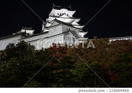 世界遺產：國寶姬路城的夜間燈光秀 128069468
