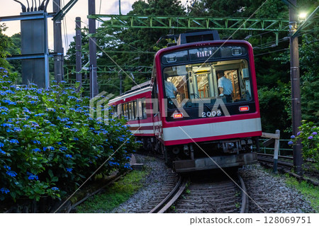 <神奈川縣> 紫陽花列車與箱根登山鐵道 128069751
