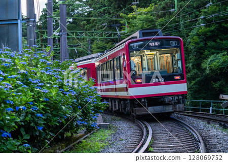 <神奈川縣> 紫陽花列車與箱根登山鐵道 <神奈川縣> 紫陽花列車與箱根登山鐵道 128069752