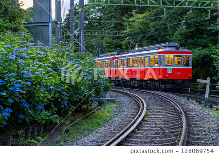 <神奈川縣> 紫陽花列車與箱根登山鐵道 128069754