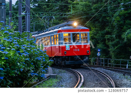 <Kanagawa Prefecture> Hydrangea Train and Hakone Tozan Railway 128069757