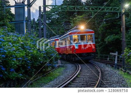 <Kanagawa Prefecture> Hydrangea Train and Hakone Tozan Railway <Kanagawa Prefecture> Hydrangea Train and Hakone Tozan Railway 128069758
