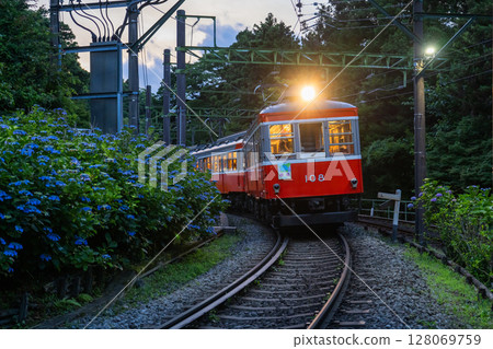 <Kanagawa Prefecture> Hydrangea Train and Hakone Tozan Railway 128069759