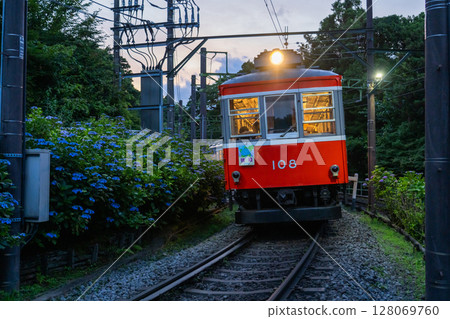 <神奈川縣> 紫陽花列車與箱根登山鐵道 128069760