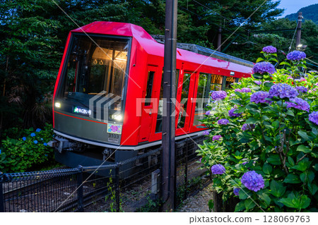 <Kanagawa Prefecture> Hydrangea Train and Hakone Tozan Railway <Kanagawa Prefecture> Hydrangea Train and Hakone Tozan Railway 128069763