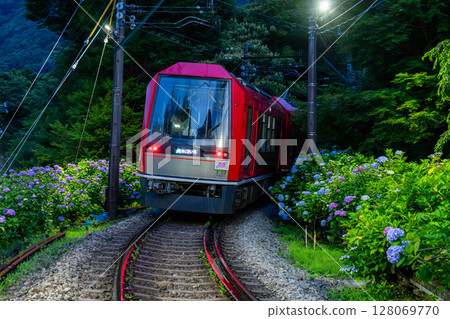 <Kanagawa Prefecture> Hydrangea Train and Hakone Tozan Railway 128069770
