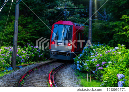 <神奈川縣> 紫陽花列車與箱根登山鐵道 128069771