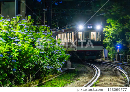 <神奈川縣> 紫陽花列車與箱根登山鐵道 128069777