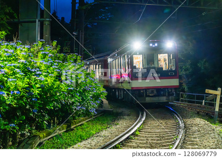 <神奈川縣> 紫陽花列車與箱根登山鐵道 128069779