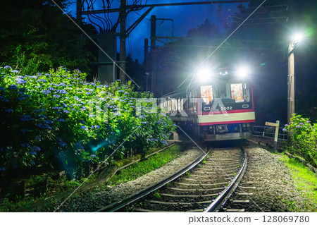 <Kanagawa Prefecture> Hydrangea Train and Hakone Tozan Railway 128069780