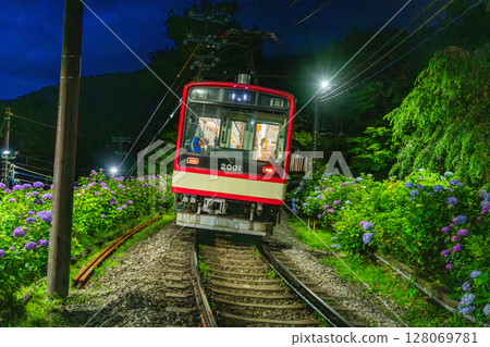 <神奈川縣> 紫陽花列車與箱根登山鐵道 128069781