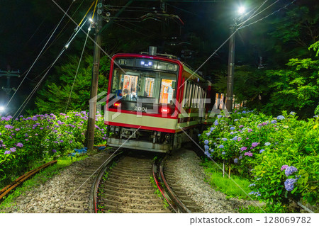 <Kanagawa Prefecture> Hydrangea Train and Hakone Tozan Railway 128069782