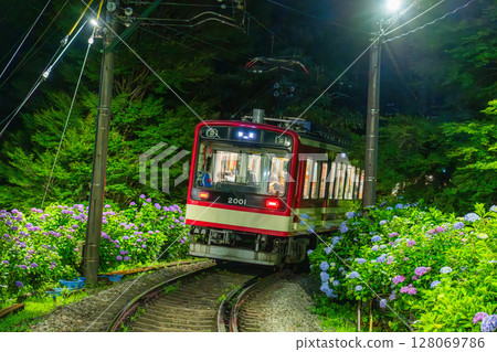 <Kanagawa Prefecture> Hydrangea Train and Hakone Tozan Railway 128069786
