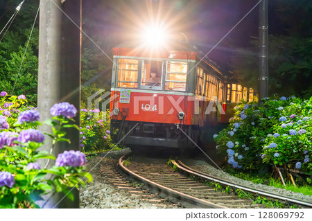 <神奈川縣> 紫陽花列車與箱根登山鐵道 128069792