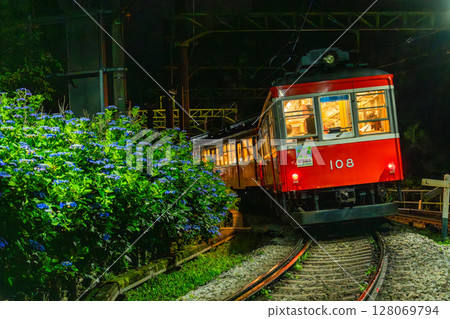 <神奈川縣> 紫陽花列車與箱根登山鐵道 128069794