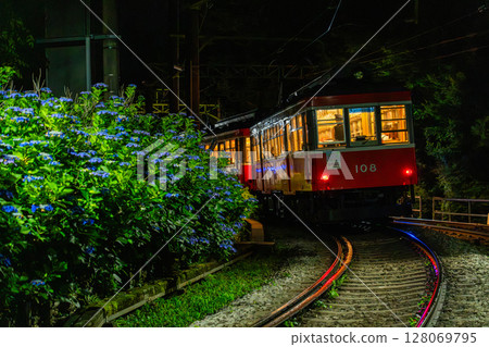 <Kanagawa Prefecture> Hydrangea Train and Hakone Tozan Railway 128069795