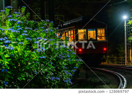 <Kanagawa Prefecture> Hydrangea Train and Hakone Tozan Railway <Kanagawa Prefecture> Hydrangea Train and Hakone Tozan Railway 128069797