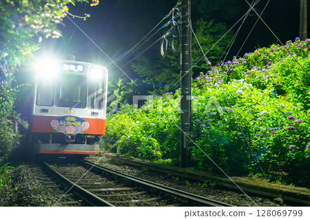 <Kanagawa Prefecture> Hydrangea Train and Hakone Tozan Railway 128069799