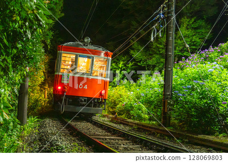 <神奈川縣> 紫陽花列車與箱根登山鐵道 128069803