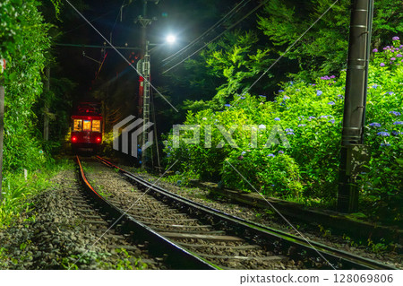 <神奈川縣> 紫陽花列車與箱根登山鐵道 128069806