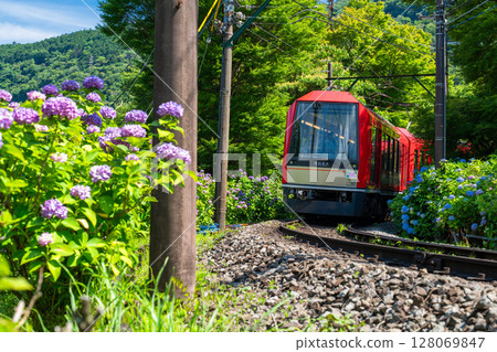 <神奈川縣> 紫陽花列車與箱根登山鐵道 128069847
