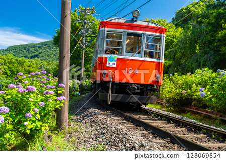 <神奈川縣> 紫陽花列車與箱根登山鐵道 128069854