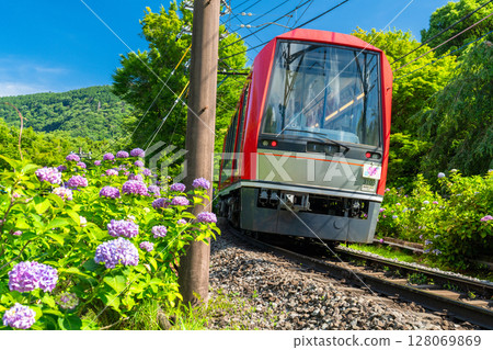 <神奈川縣> 紫陽花列車與箱根登山鐵道 <神奈川縣> 紫陽花列車與箱根登山鐵道 128069869
