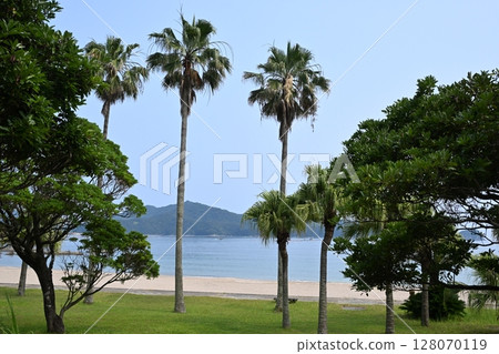 下阿蘇海灘 128070119