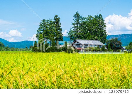 國家景觀在夏天 國家景觀在夏天 128070715