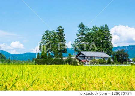 國家景觀在夏天 128070724