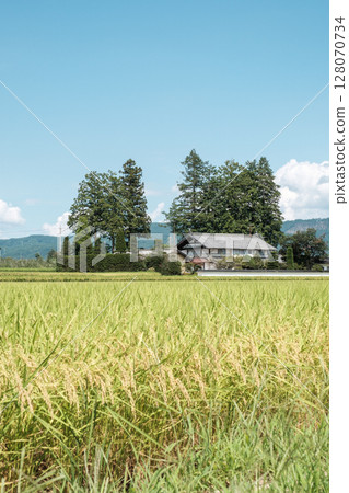 國家景觀在夏天 國家景觀在夏天 128070734