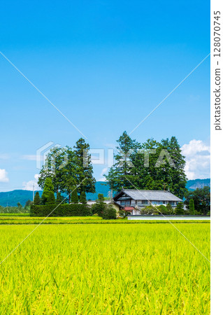 國家景觀在夏天 國家景觀在夏天 128070745