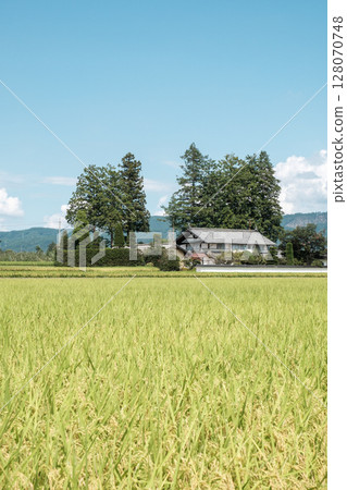 國家景觀在夏天 128070748