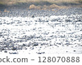 Drought riverbank 128070888