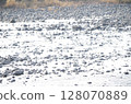 Drought riverbank 128070889